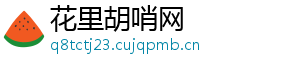 花里胡哨网